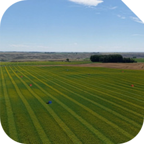 High Resolution Map (1cm to 5cm)