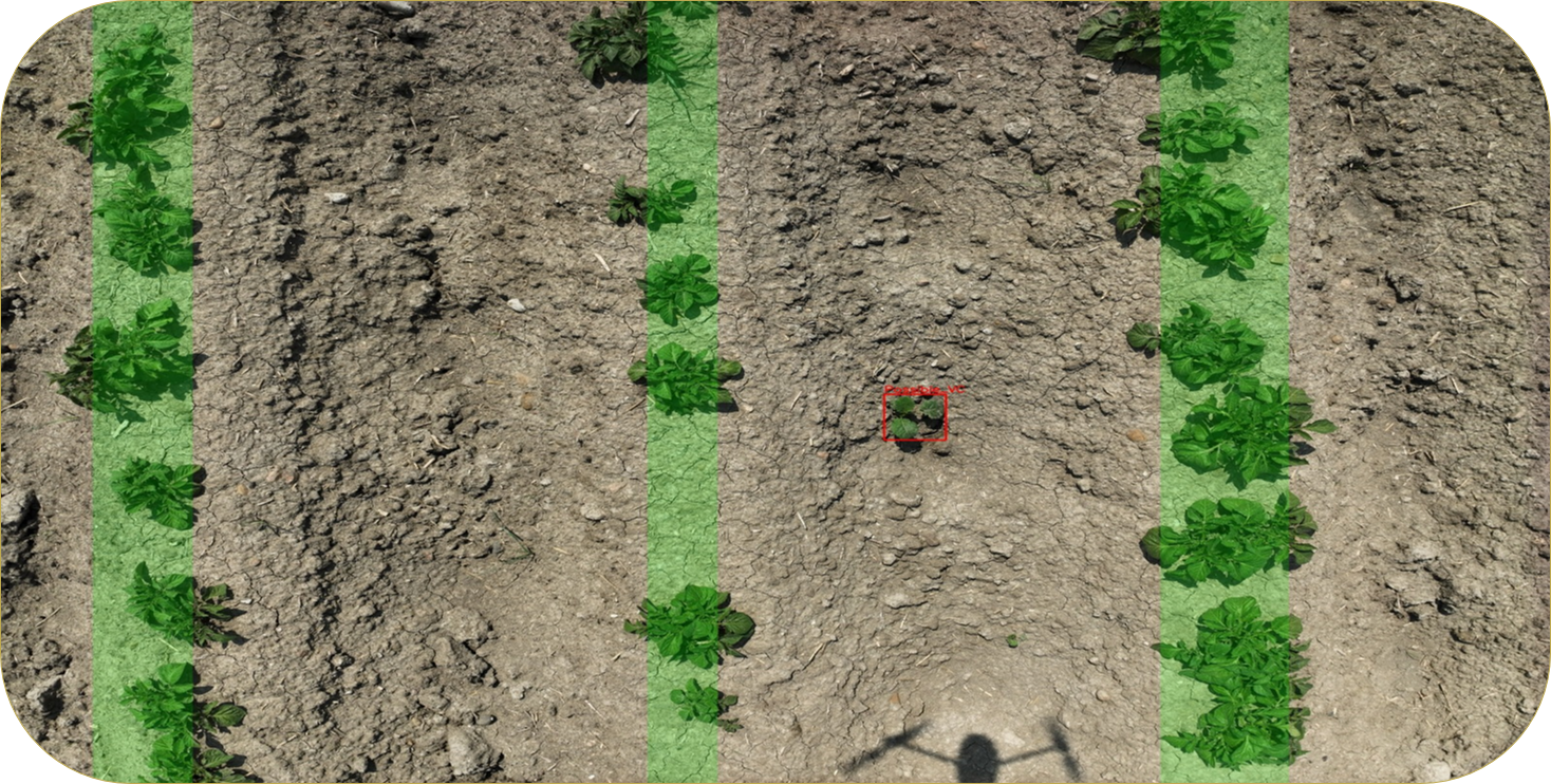 High resolution crop analysis with detection