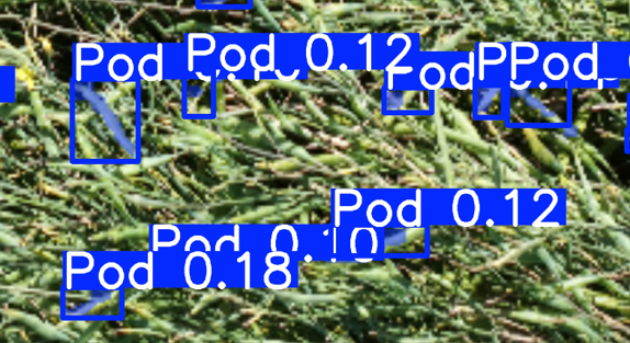 Detailed field imagery with plant detection