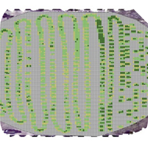 Crop Area and Boundary