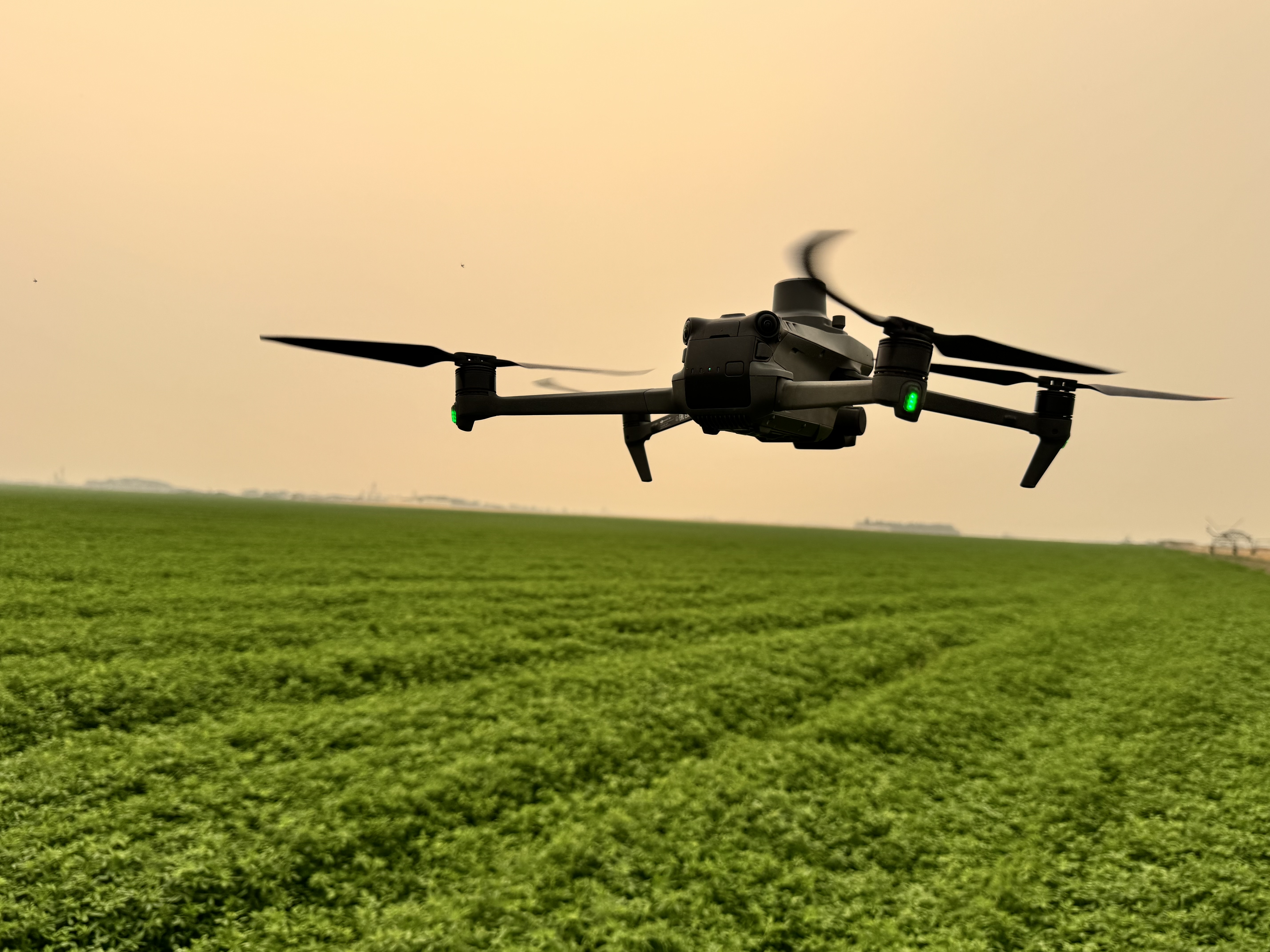 Agricultural field monitoring dashboard